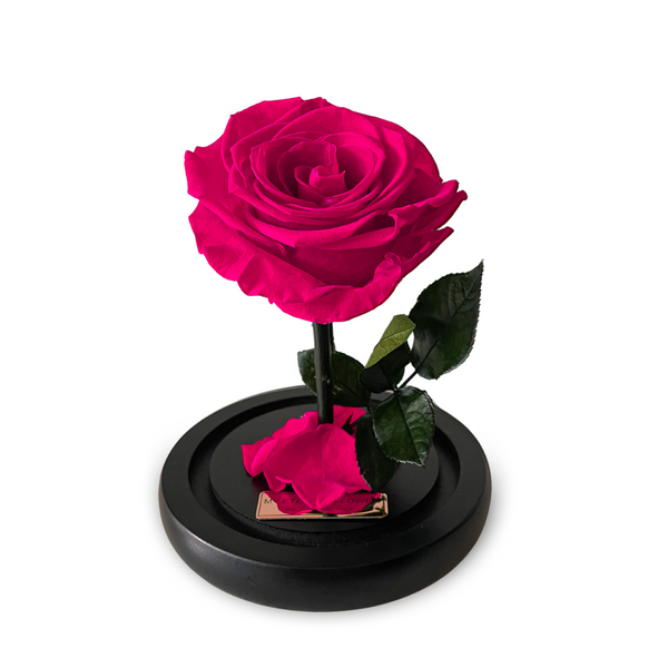 Mini Luxe Eternal Rose Dome in Hot Pink