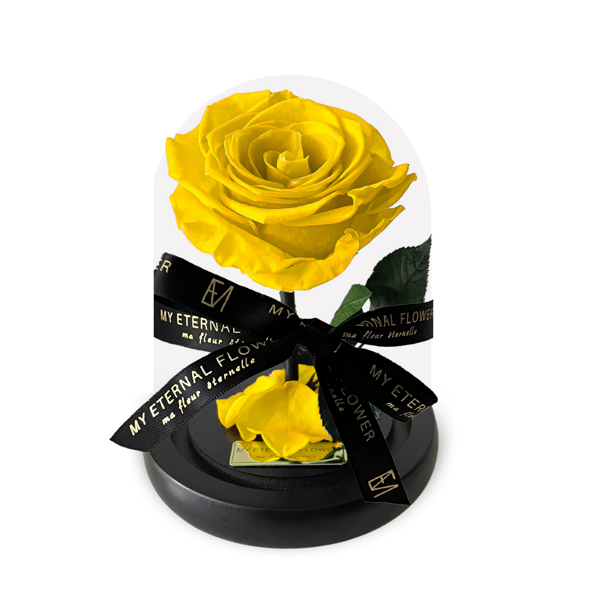 Mini Luxe Eternal Rose Dome in Yellow