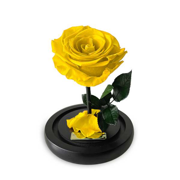 Mini Luxe Eternal Rose Dome in Yellow