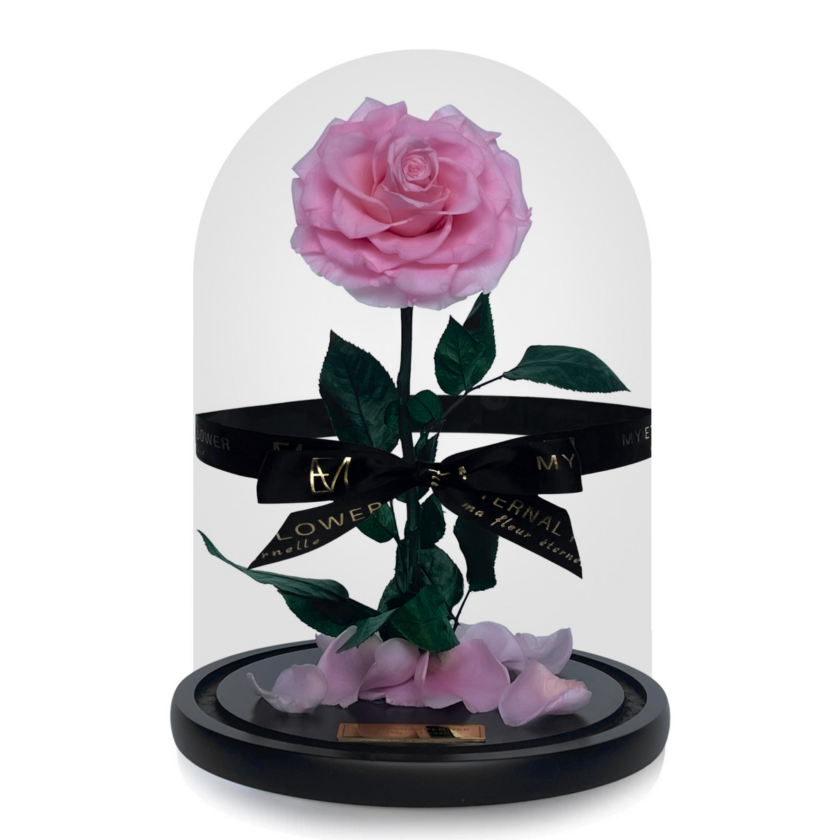 Grande Eternal Rose Dome in Pink Rose