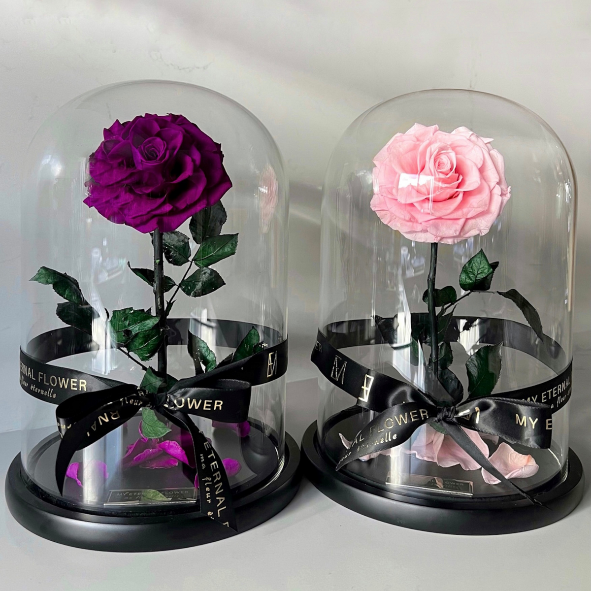 Grande Eternal Rose Dome in Pink Rose