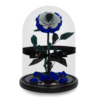 Evil Eye Grande Eternal Rose Dome - My Eternal Flower