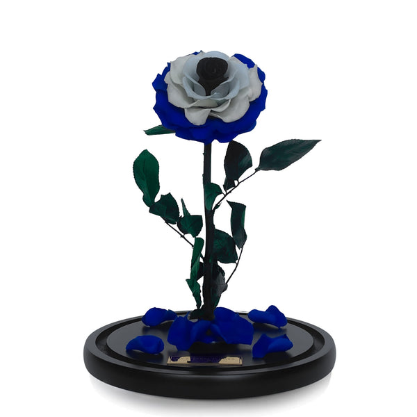 Evil Eye Grande Eternal Rose Dome - My Eternal Flower