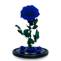 Grande Eternal Rose Dome in Electric Royal Blue - My Eternal Flower