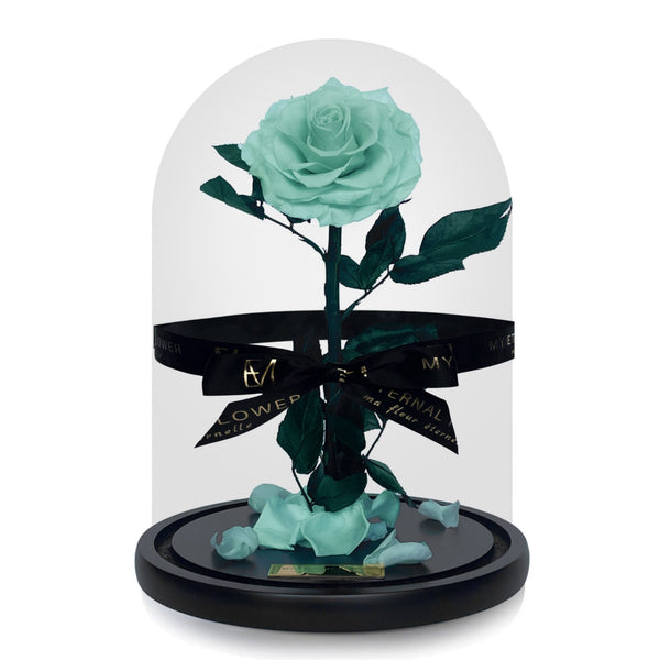 Grande Eternal Rose Dome in Mint Blue - My Eternal Flower