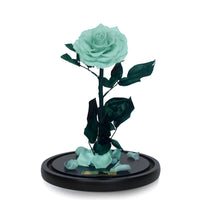 Grande Eternal Rose Dome in Mint Blue - My Eternal Flower