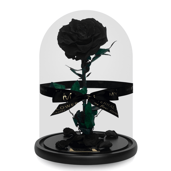 Grande Eternal Rose Dome in Noir Black - My Eternal Flower