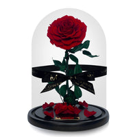 Grande Eternal Rose Dome in Red Rouge (Pre-Order Ships 16/1) - My Eternal Flower