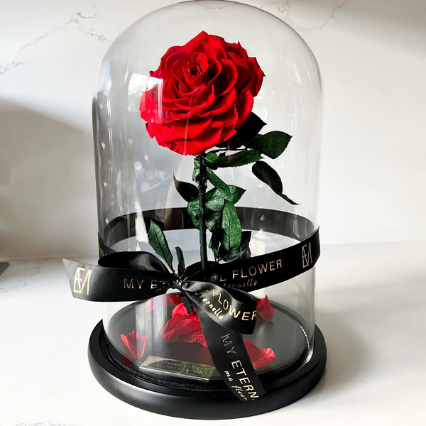 Grande Eternal Rose Dome in Red Rouge (Pre-Order Ships 16/1) - My Eternal Flower