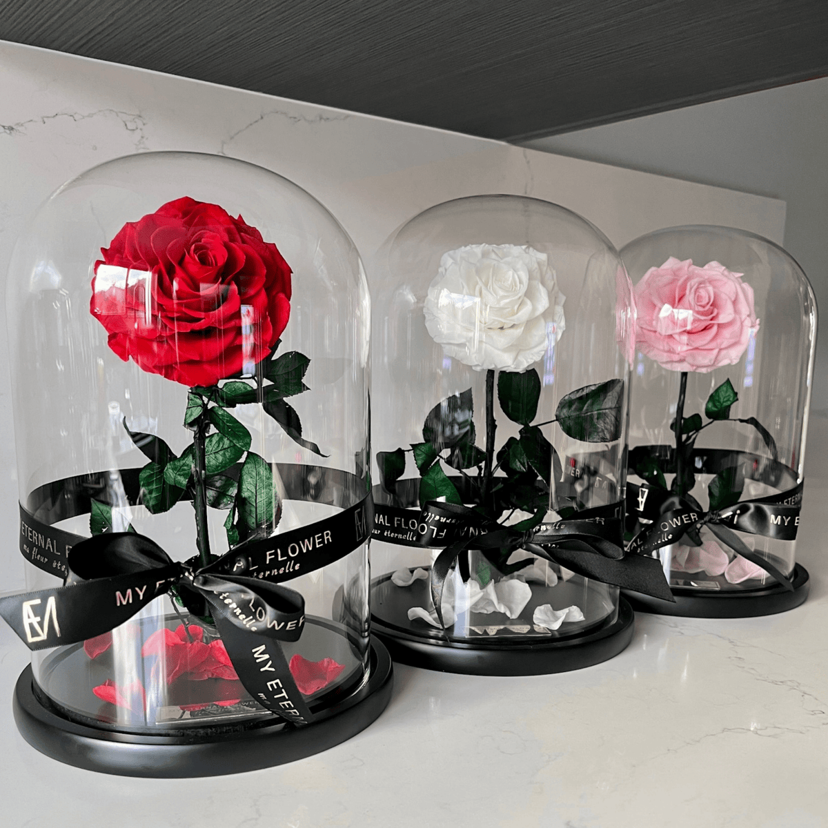 Grande Eternal Rose Dome in Red Rouge (Pre-Order Ships 16/1) - My Eternal Flower