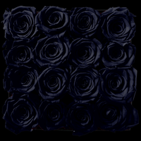 Luxe Square - 16 Eternal Roses