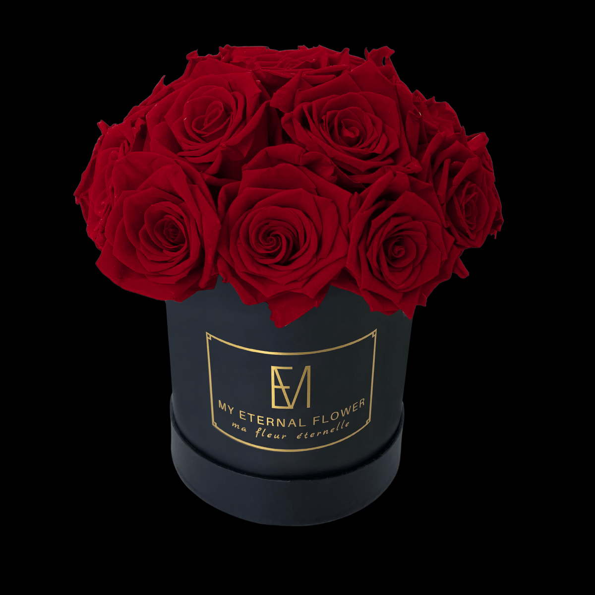 Luxe Voute - 18 Eternal Roses