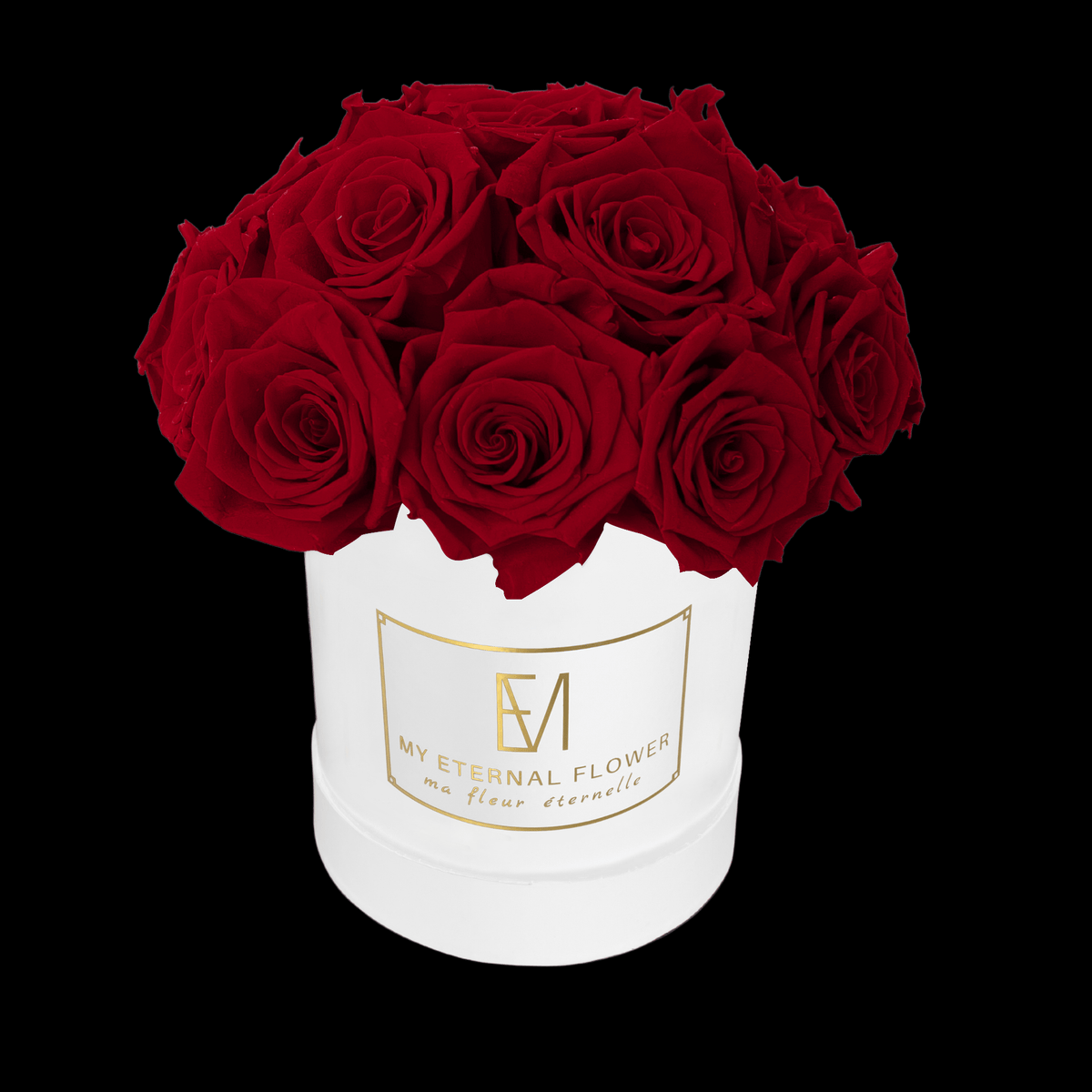 Luxe Voute - 18 Eternal Roses