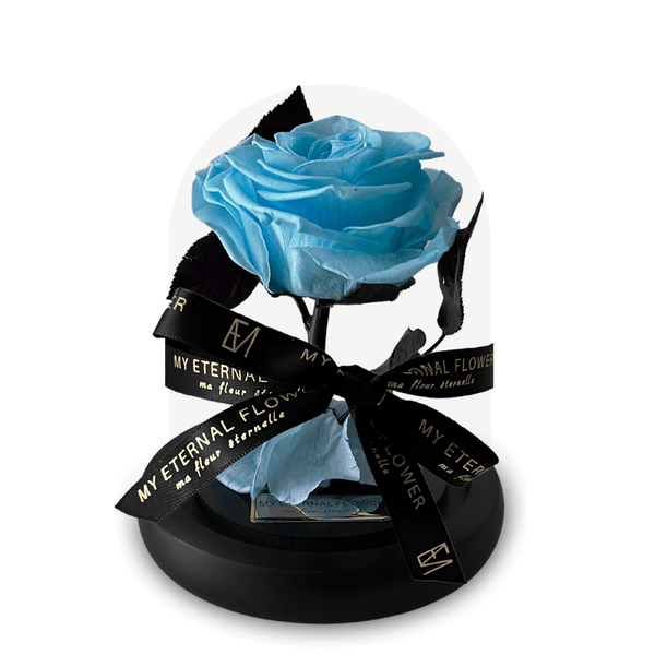 Mini Luxe Eternal Rose Dome in Aqua Blue - My Eternal Flower