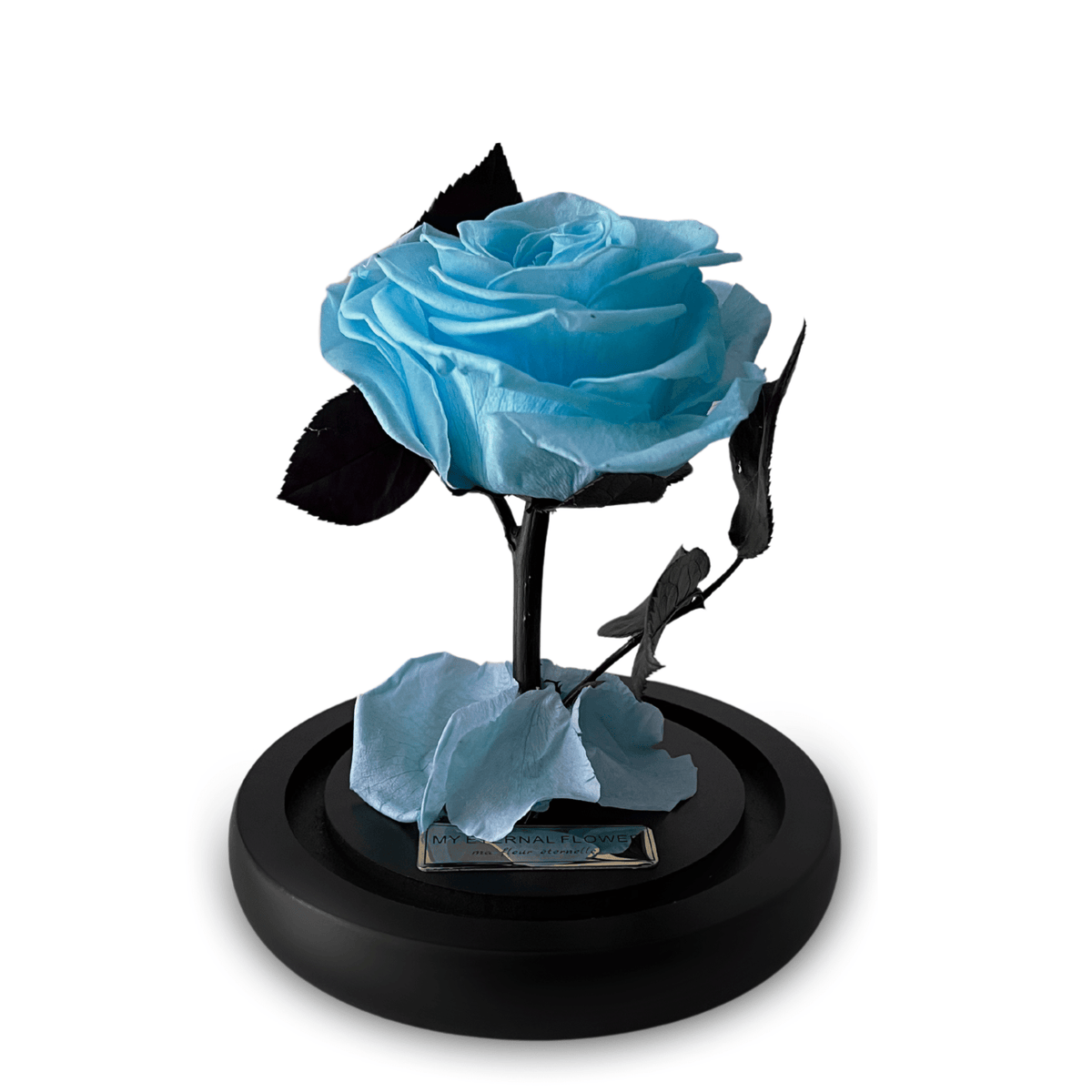 Mini Luxe Eternal Rose Dome in Aqua Blue - My Eternal Flower