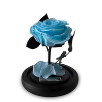 Mini Luxe Eternal Rose Dome in Aqua Blue - My Eternal Flower