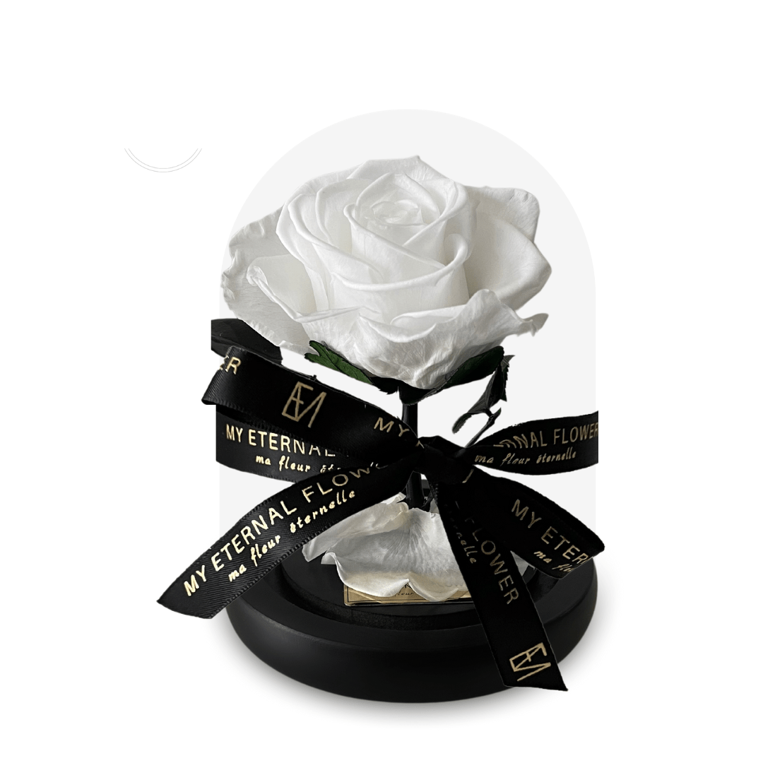 Mini Luxe Eternal Rose Dome in Blanc White - My Eternal Flower