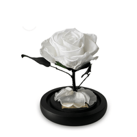 Mini Luxe Eternal Rose Dome in Blanc White - My Eternal Flower