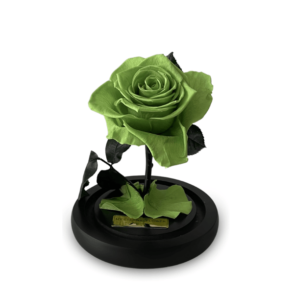 Mini Luxe Eternal Rose Dome in Green Mint - My Eternal Flower