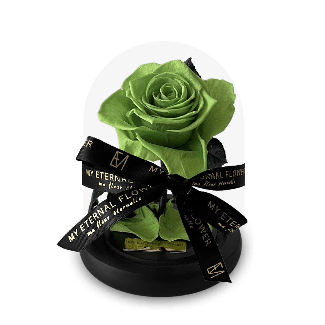 Mini Luxe Eternal Rose Dome in Green Mint - My Eternal Flower