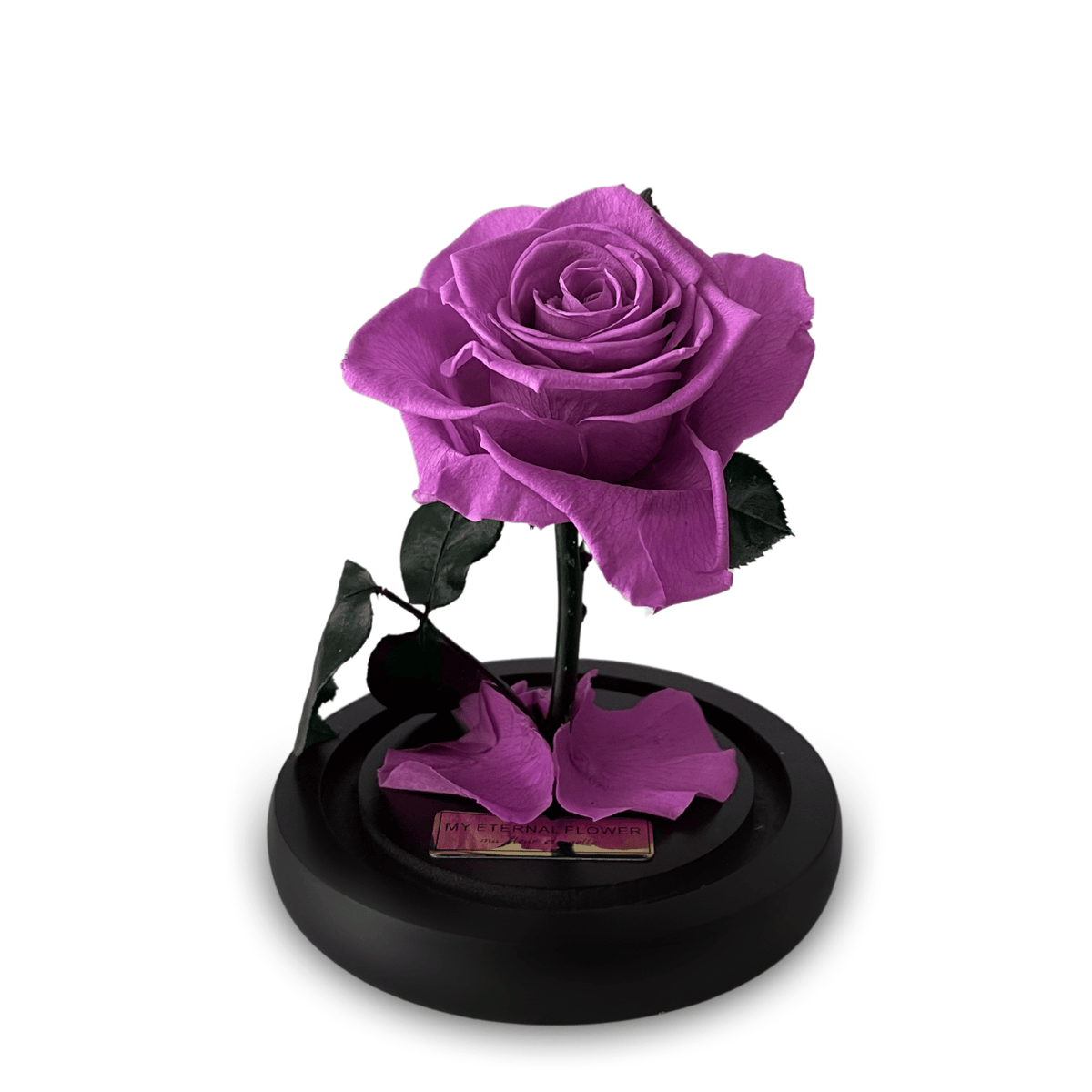 Mini Luxe Eternal Rose Dome in Lilac Purple - My Eternal Flower