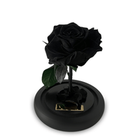 Mini Luxe Eternal Rose Dome in Noir Black - My Eternal Flower