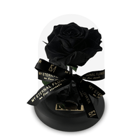 Mini Luxe Eternal Rose Dome in Noir Black - My Eternal Flower