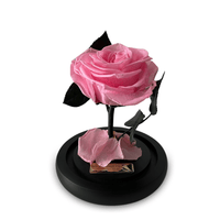 Mini Luxe Eternal Rose Dome in Pink Rose - My Eternal Flower