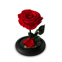 Mini Luxe Eternal Rose Dome in Red Rouge - My Eternal Flower