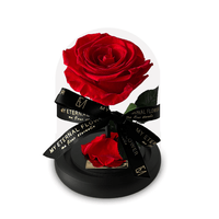 Mini Luxe Eternal Rose Dome in Red Rouge - My Eternal Flower