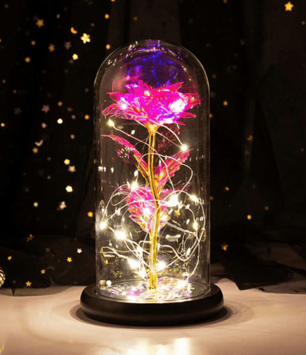 Pink LED Galaxy Rose Dome - My Eternal Flower